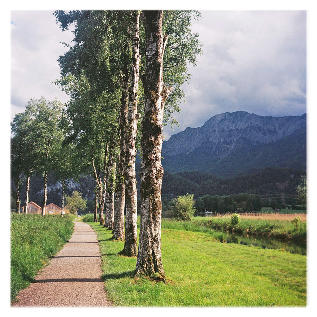 Birkenweg am Kochelsee in Schlehdorf