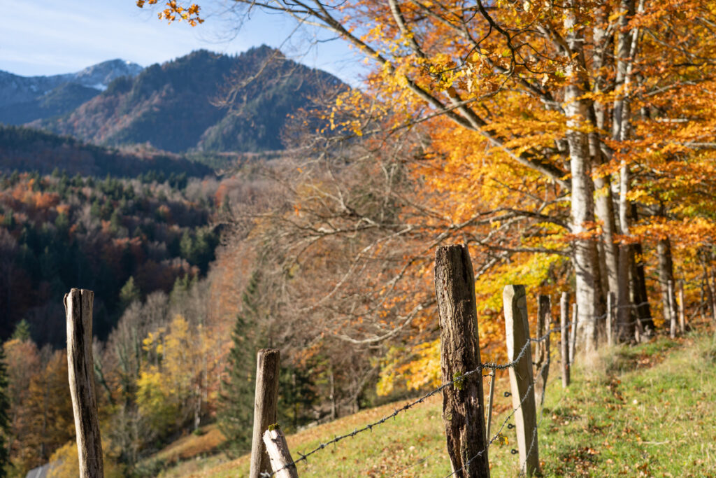 Herbst in Hochschlehdorf
