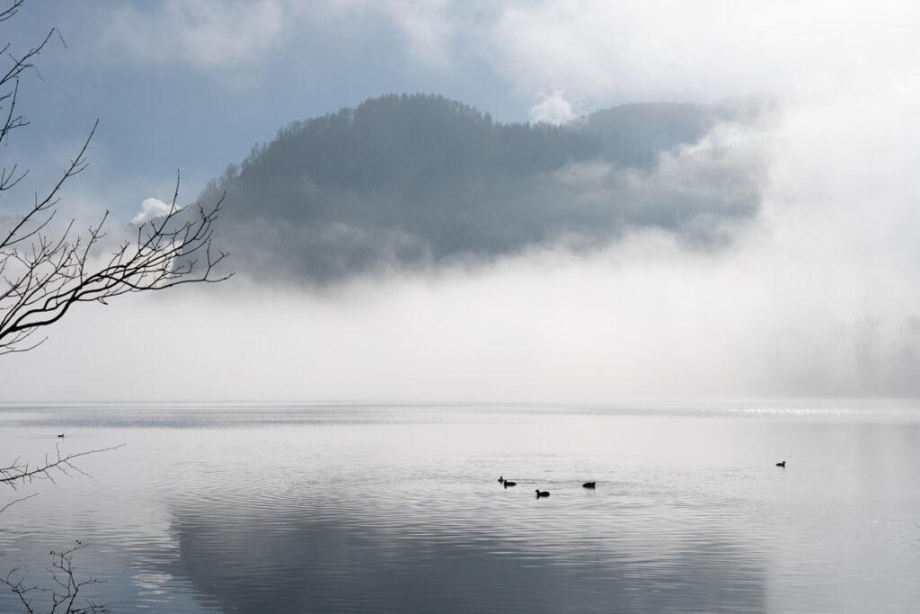 Herbstnebel über dem Kochelsee