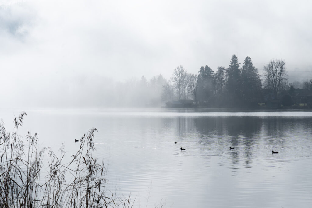 Herbstnebel über dem Kochelsee