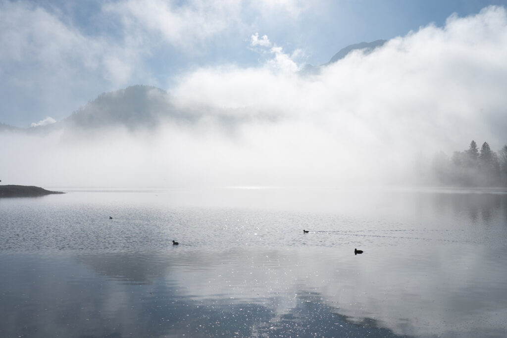 Herbstnebel über dem Kochelsee