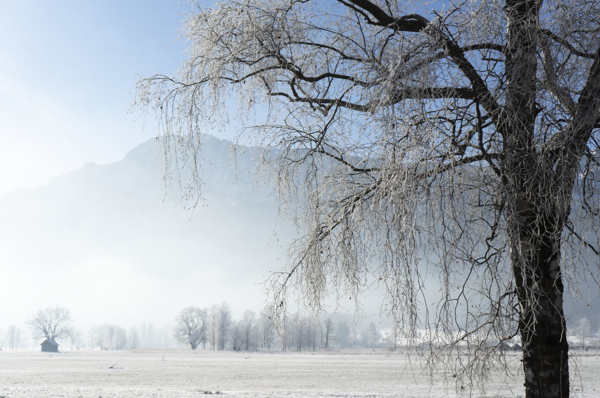 Winterlicher Morgennebel am Kochelsee, im Hintergrund der Herzogstand