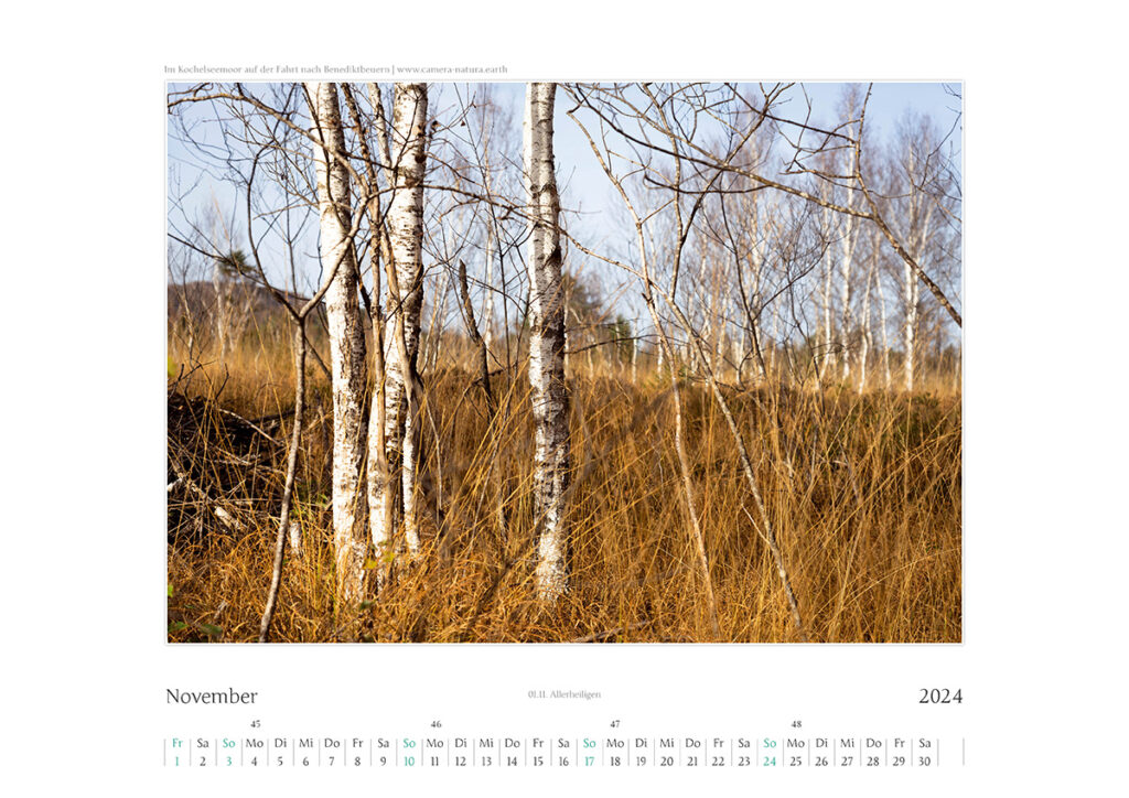 Kalender 2024 – November