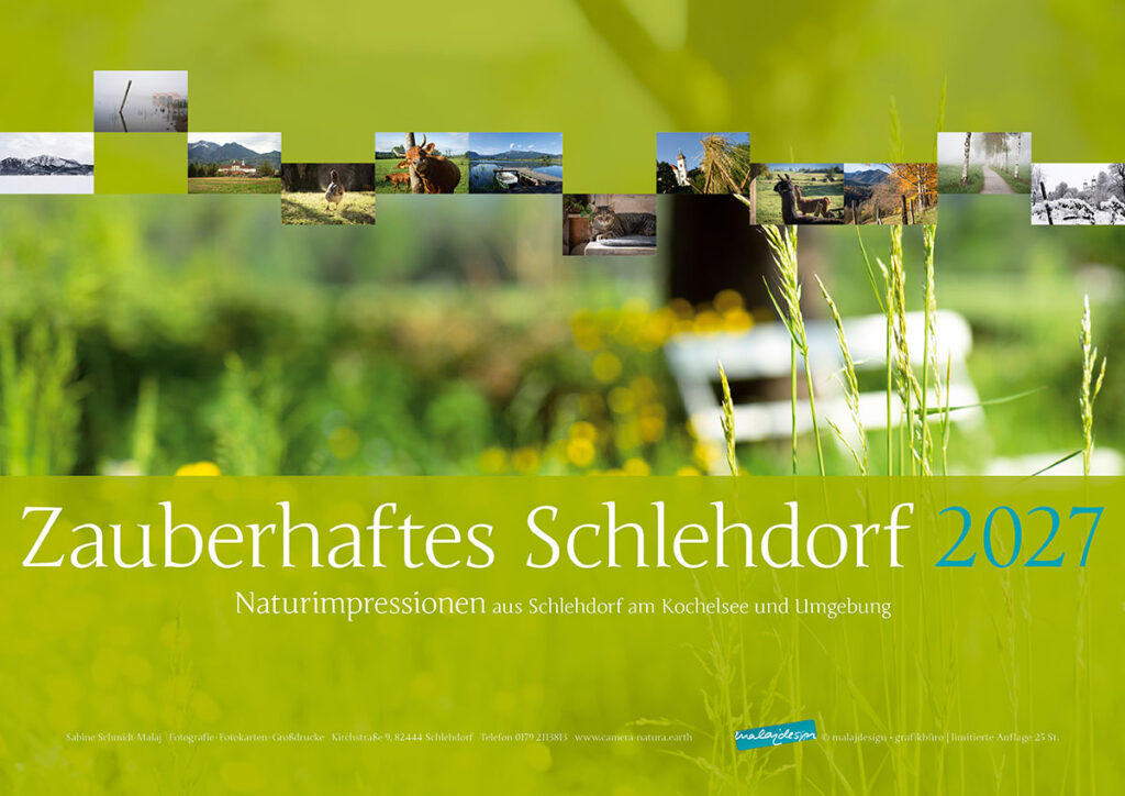 Kal_Kochelsee_2027