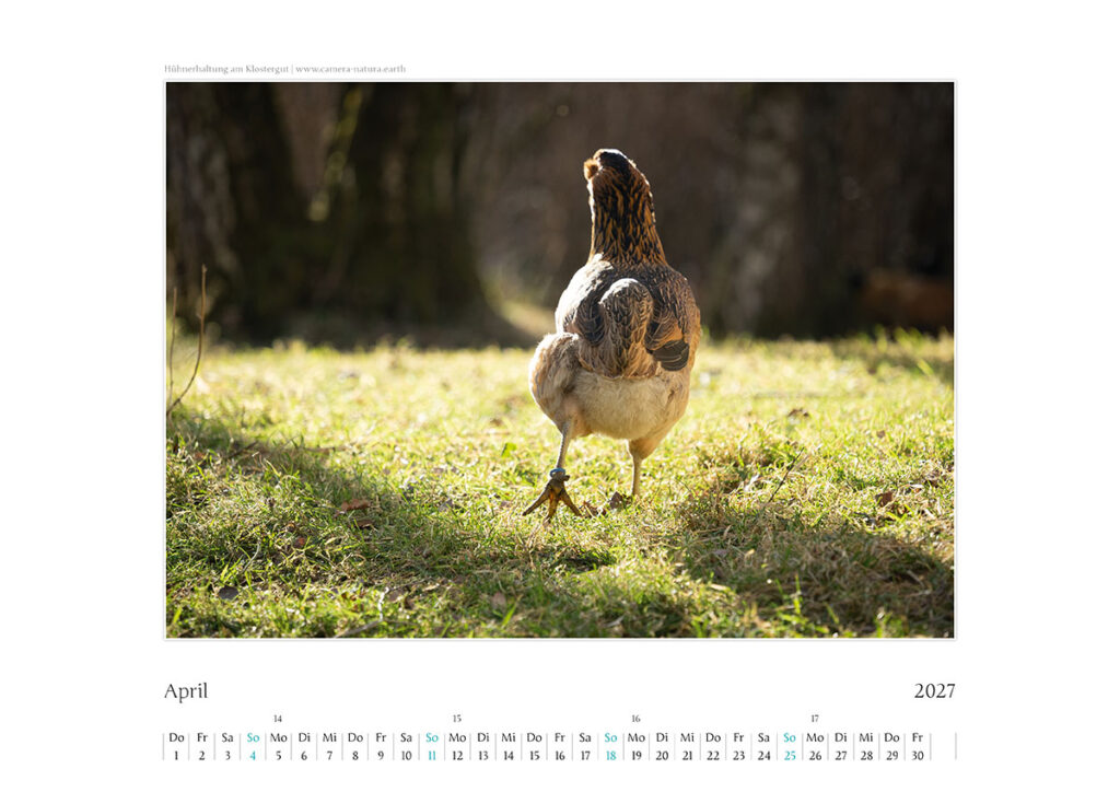 Kal_Kochelsee_20275