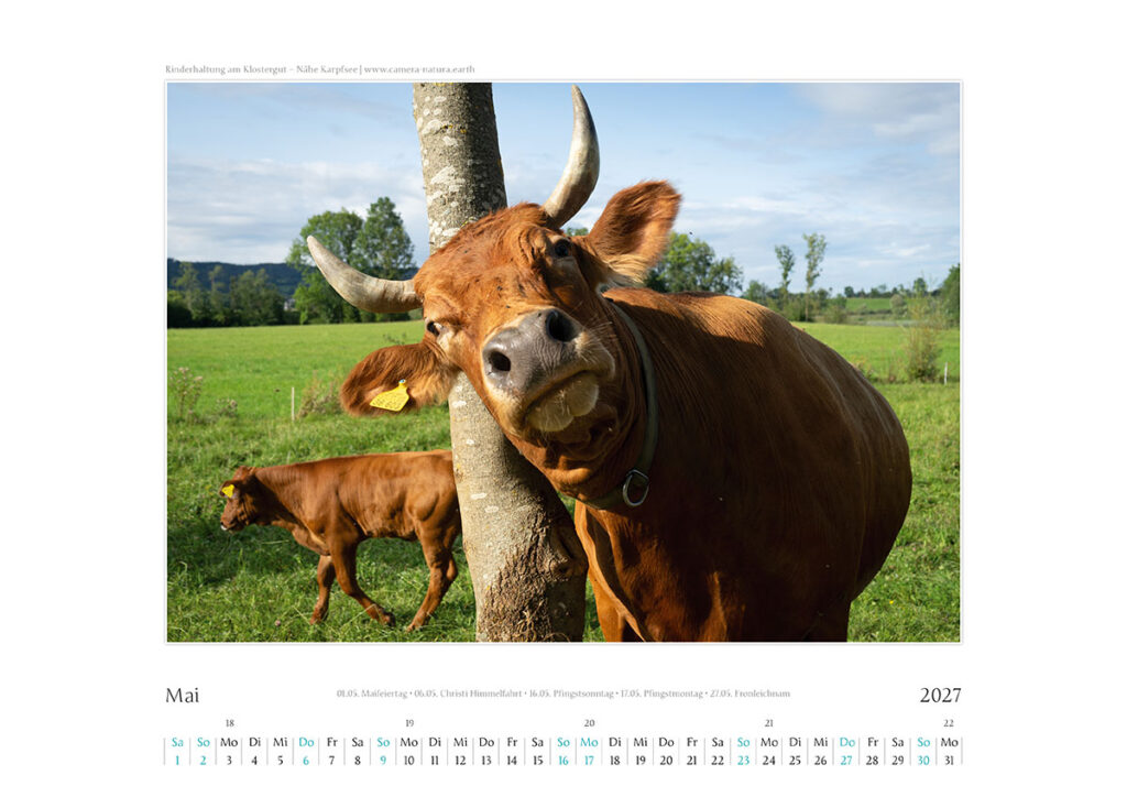 Kal_Kochelsee_20276