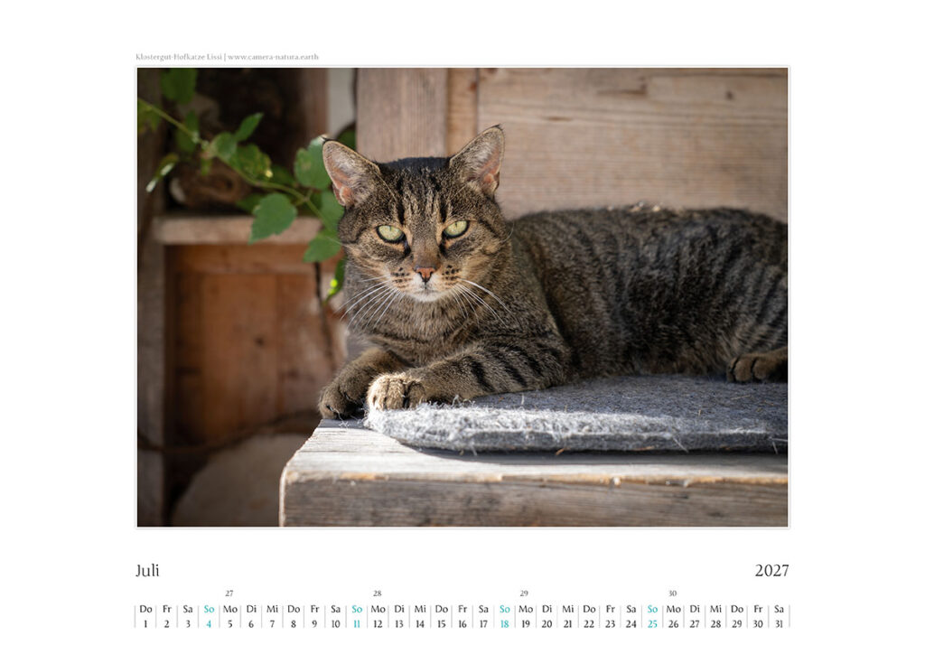 Kal_Kochelsee_20278