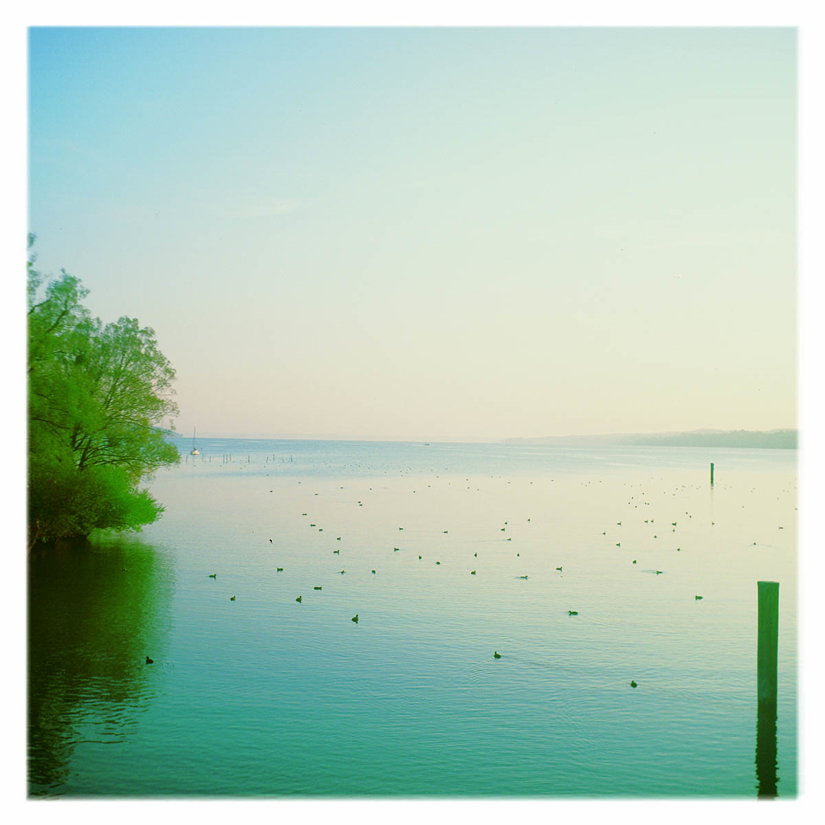 Am Starnberger See, Percha